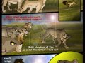 tlk_the_heirs_10_by_Savu0211.jpg